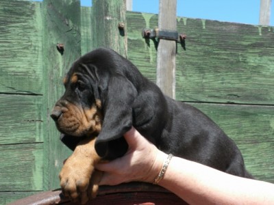 GEDC0336 (640x480).jpg