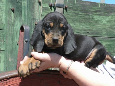 GEDC0333 (640x480).jpg