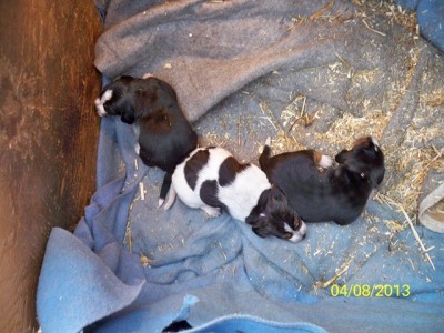 106_0725 [640x480].JPG