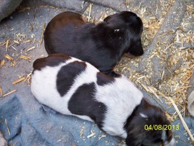 106_0726 [640x480].JPG