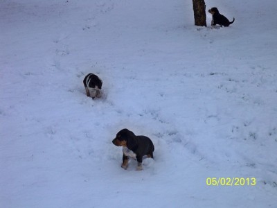 101_0740 [640x480].JPG