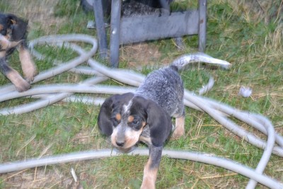 DSC_0012 (1) (Copy) (3).JPG