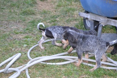 DSC_0013 (Copy) (2).JPG