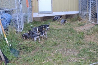 DSC_0015 (Copy) (2).JPG