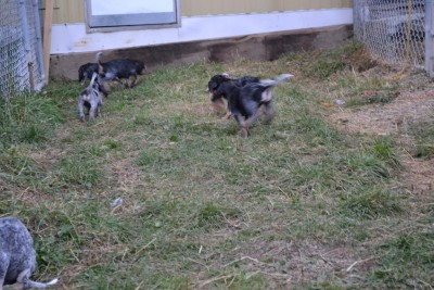 DSC_0025 (Copy) (2).JPG