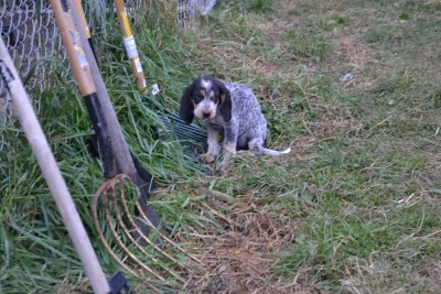 DSC_0026 (1) (Copy).JPG