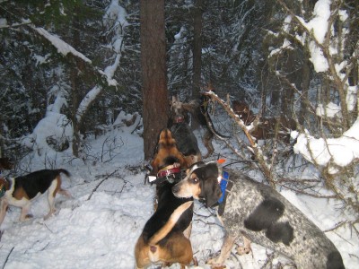 December 13 Resized.jpg