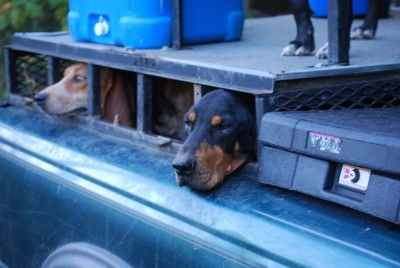 Bear Hunting 028 edit.jpg