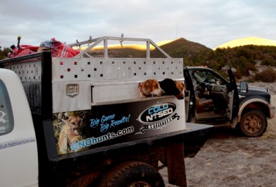 bear hunting utah cold nosed outfitters.JPG