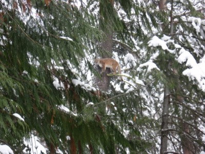 Feb. 10 2014 131 Resized.JPG