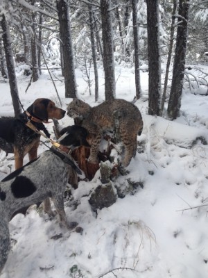 Dec. 6 2013 phone pictures 093.JPG