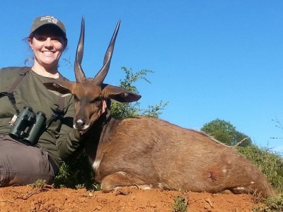 JBushbuck.jpg (130.41 KiB) Viewed 5018 times JBushbuck.jpg