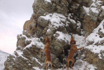 what i do when not making boxes, left alive to make more tracks