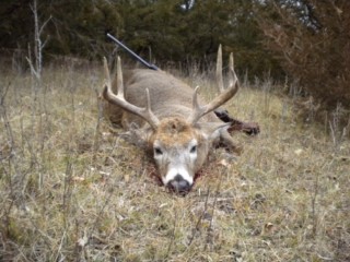 52 vaughn and Nebraska 069 [320x200].jpg