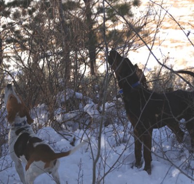 The ones doing the work.....