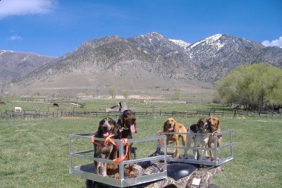 rigging in my pasture