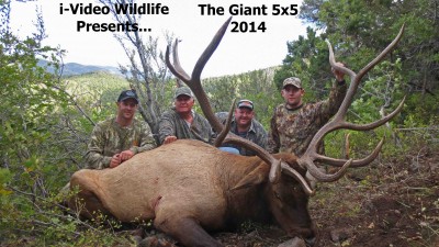 The Giant 5x5 YouTube.jpg