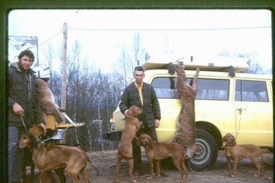 Resize of Hound 72 FF.jpg