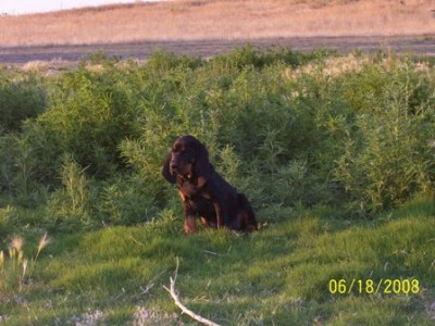 Morgan at two months.