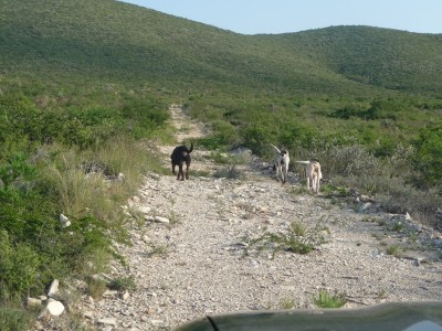 These roading pics were in August this year after some good rains