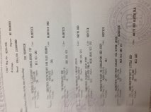 Ashes Pedigree 2nd page.jpg