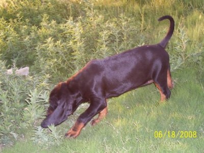 Morgan using that nose at two months.