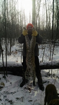 My cat 36lb