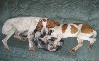 Hanging with momma.JPG