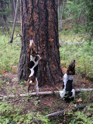 Diamond & Britney.JPG