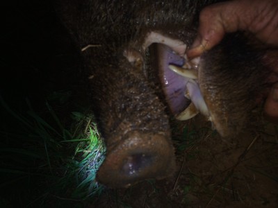 No trophy but alota fun