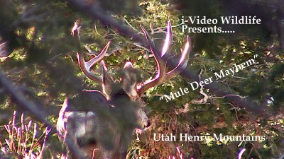 YouTube Thumbnail.jpg