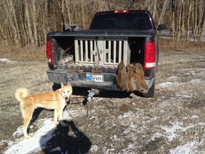 Orion January limit.jpg