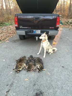 11-8-15 coon hunt with dad.jpg