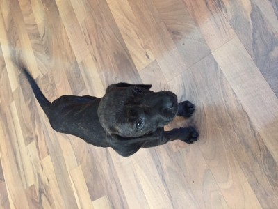 Mines ready to rock and role