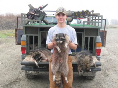 Copy of Picture 003.jpg