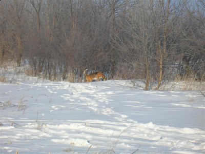 Picture 061 (Medium).jpg