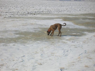 Picture 063 (Medium).jpg