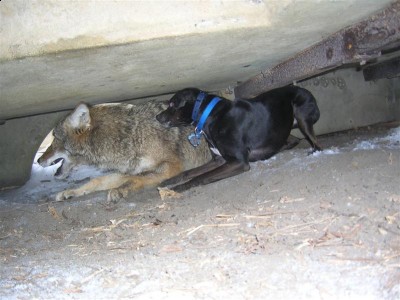 Picture 058 (Medium).jpg