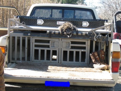 Copy of Picture 020.jpg