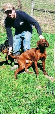 Registered Male Redbone