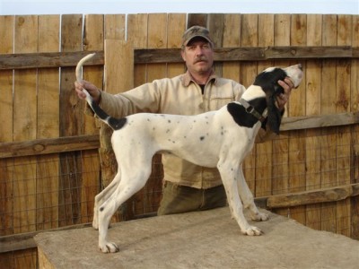 Gascon Pups 2 055.jpg