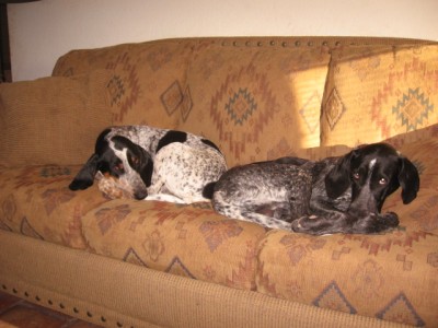 leroys deer hunt 010.jpg