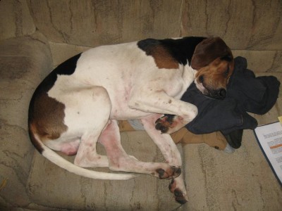 Copy of Picture 071.jpg