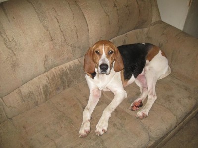 Copy of Picture 072.jpg