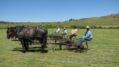 Mowing hay 2009 [640x480].JPG