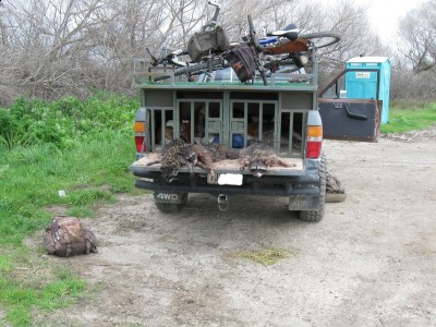 Copy of Picture 026.jpg