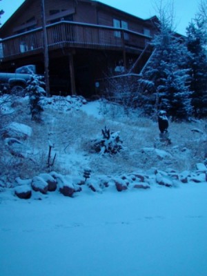 DSC00240 [800x600].JPG