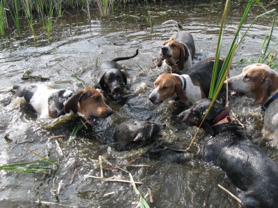 Copy of Picture 087.jpg