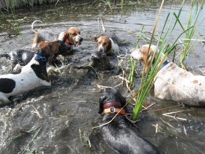 Copy of Picture 088.jpg