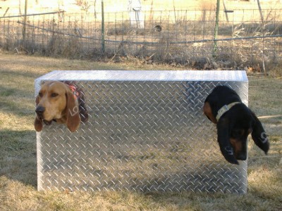 snowmobile and 4 wheeler boxes march 14  10 004.jpg